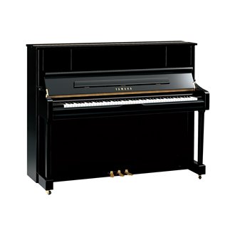 U1J PE