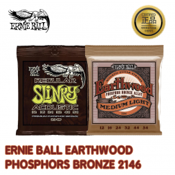 어니볼 EARTHWOOD PHOSPHOR BRONZE