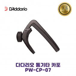 다다리오 플래닛 웨이브 PW-CP-07