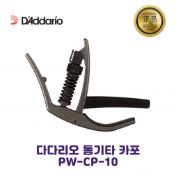 다다리오 플래닛웨이브 PW-CP-10